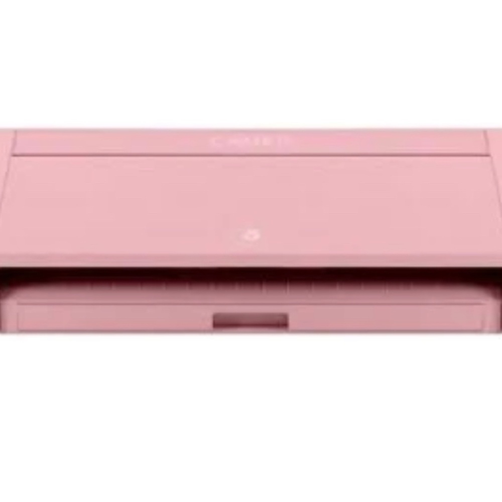 Pink Cameo 4 12”